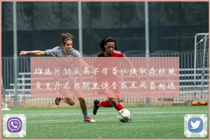雄鹿计划交易字母哥以换取森林狼麦克丹尼尔斯里德香农及两首轮选秀权
