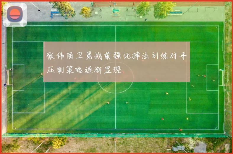 张伟丽卫冕战前强化摔法训练对手压制策略逐渐显现